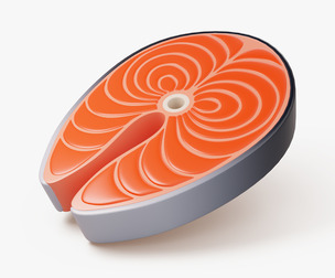 Stylized Salmon Steak