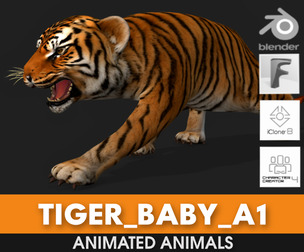 Tiger BaBy_A1