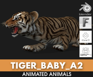 Tiger BaBy_A2