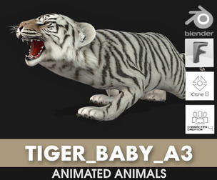 Tiger BaBy_A3