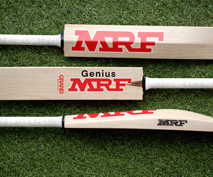 Cricket Bat 3D model