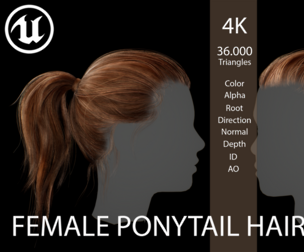 Game ready female ponytail hairstyle real time hair Low-poly 3D model