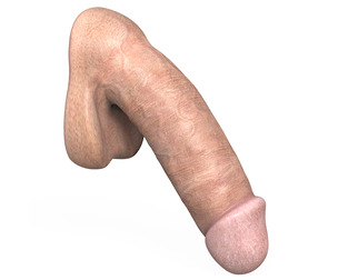 Young Man Penis 02