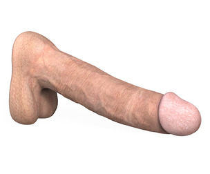 Young Man Penis 03
