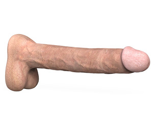 Young Man Penis 04