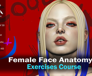 Female Face Anatomy Course