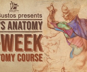 Rey's Anatomy: 8-week Anatomy Course