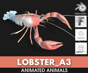 Lobster_A3