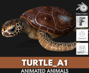 Turtle_A1