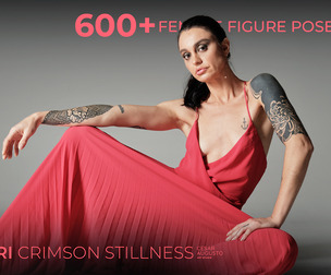 600+ Female Figure Poses - Pri Crimson Stillness