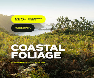 EP65 / Coastal Foliage — photo reference pack