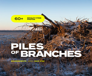 EP66 / Piles of Branches — FREE photo reference pack