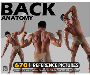 Back Anatomy Poses Photo Reference Pack . 670+ Images . No Ai