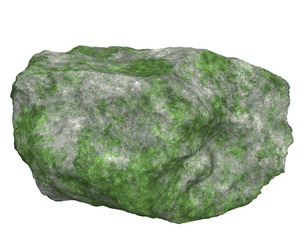 Mossy Rock 10