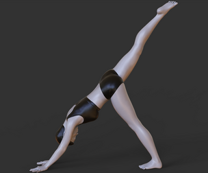 Yoga Pose- Three Legged Dog Pose - Tri Pada Adho Mukha Svanasana
