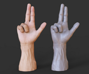 Male Hand Pose - Gesture - 09
