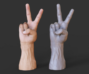 Male Hand Pose - Gesture - 14
