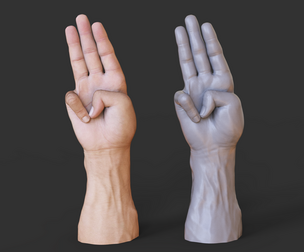 Male Hand Pose - Gesture - 18