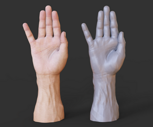 Male Hand Pose - Gesture - 19