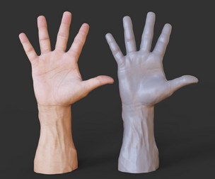 Male Hand Pose - Gesture - 20