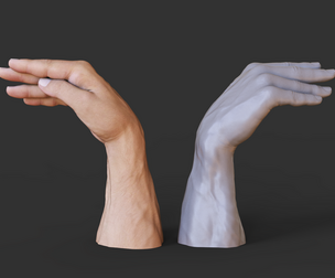 Male Hand Pose - Gesture - 28