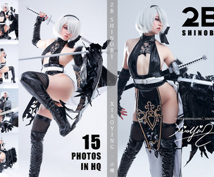 2B Shinobi  [ Dishwasher  ]