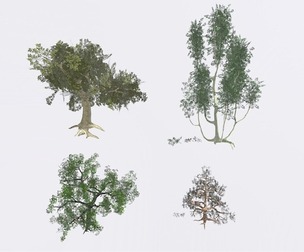 rigged tree pack v2