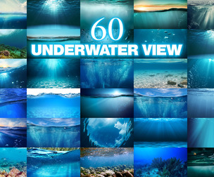 60 Underwater Scene, Marine Life, Coral Reef, Underwater World, Ocean Wildlife, Sea Life