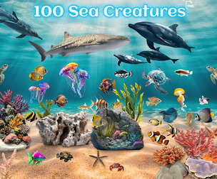 100 Sea Creatures Clipart PNG Bundle, Ocean Animals, Fish, Dolphins, Turtles, Jellyfish, Coral Reef