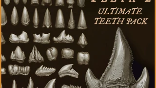 TEETH 2 - Ultimate collection of teeth for creatures and characters cover