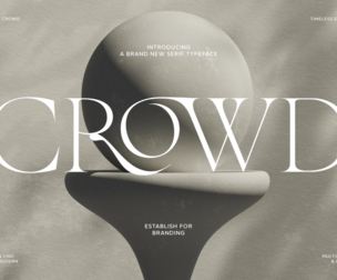 The More Crowd Serif Fonts