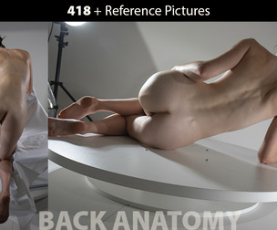 GameModder + 418 Back Anatomy Female Reference Pictures