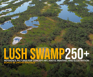 250+ Lush Swamp Reference Pack (Bonus 4k Drone Footage)