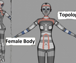 Female Body - Topology