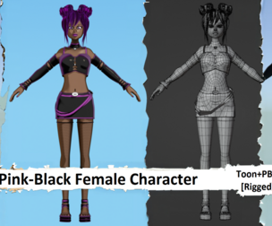 Pink-Black Female Character