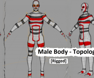 Male Body - Topology