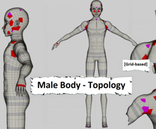 Male Body - Topology