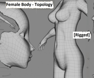 Female Body – Animation-Ready Topology