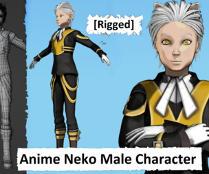 Anime Neko Male Character