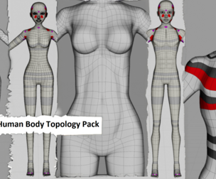 🧍 5 Human Body Topology Pack – Male & Female Base Meshes