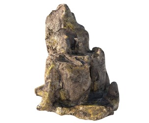 jungle moss cliff rock