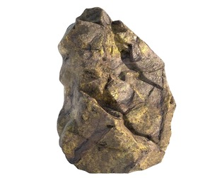jungle moss rock