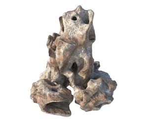 natural coral red rock