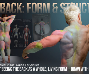The Back: Form & Structure