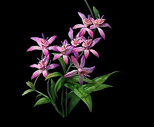 Game model - Hanging Garden - Fairy Cloud flowers