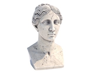 Venus head bust
