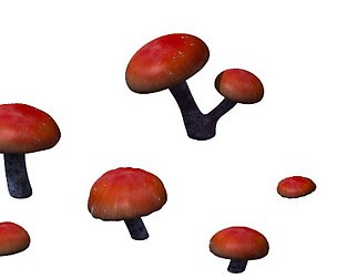 Game model - exotic flowers 7