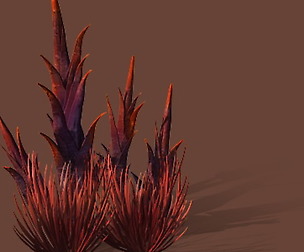 Game Models - Plants in the Desert