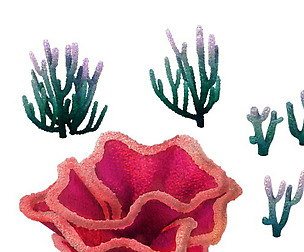 Game Model - Object Design - Tianjing Coral 04