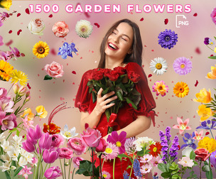 1500+ Floral PNG Bundle, Flowers, Petals, Rose Overlays & Backgrounds, Botanical Clipart